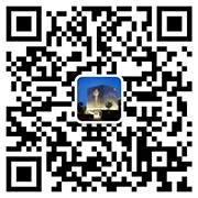 廣東国产精品一级做a爰片性色毛片成人久久久国产一级a毛智能裝備有限公司